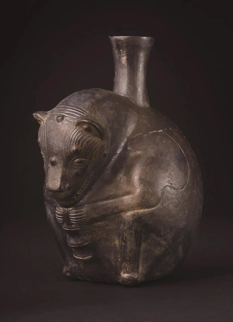 Ancient Peruvian hairless dogs buried with Wari elites 1,200 years ago