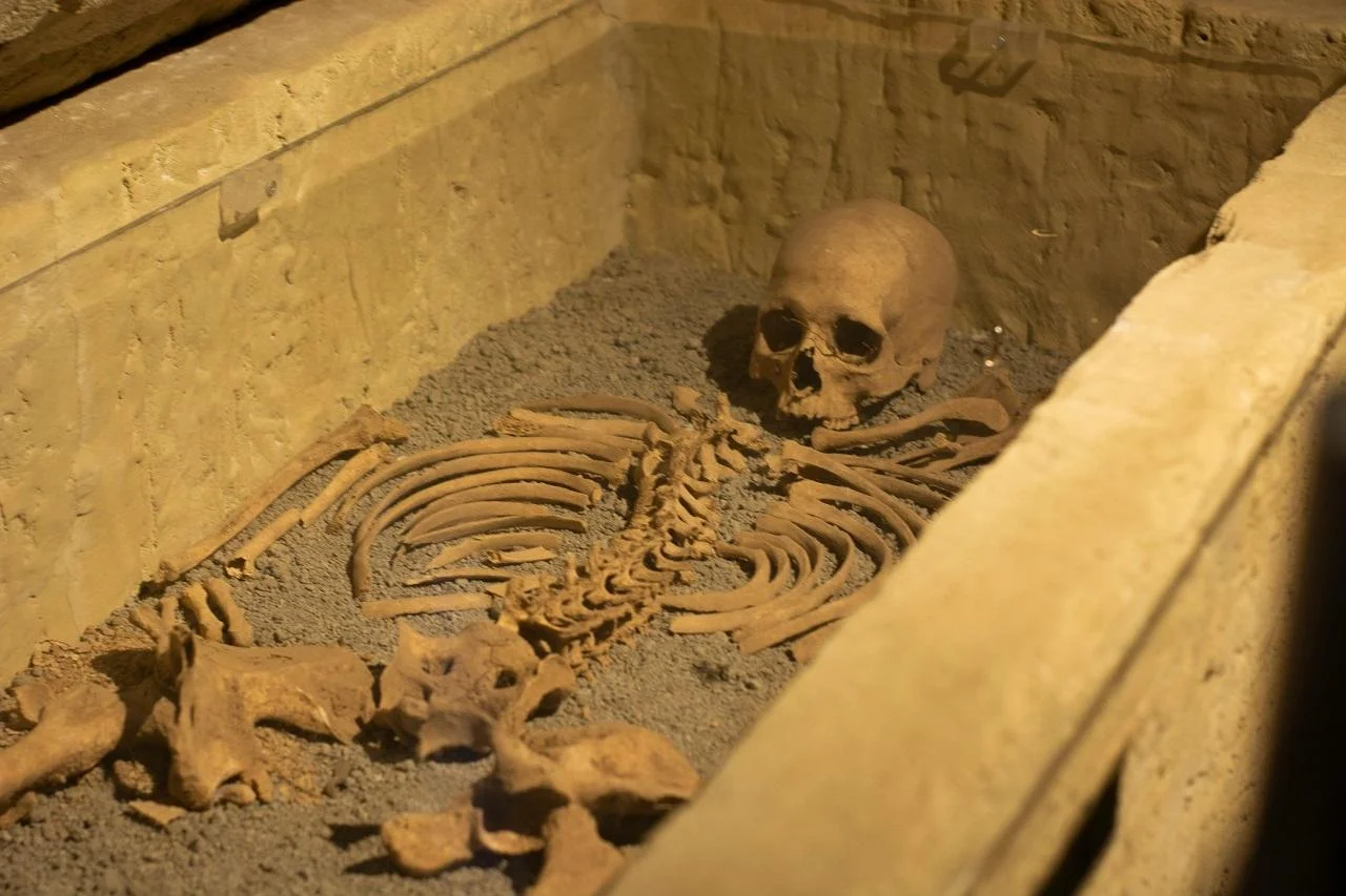 Trading human remains: Why bones should not become a commodity