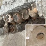 Roman villa and advanced drainage systems unearthed in Aquileia during cycling path construction