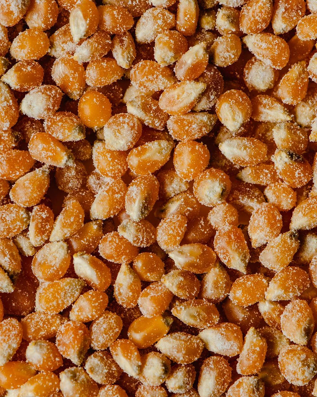 Popcorn's discovery 7,000 years ago: archaeologist explores its ancient appeal in the Americas