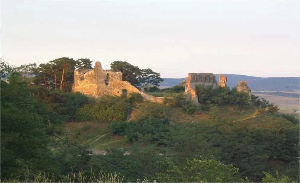 Radiocarbon dating confirms Teutonic Knights built Feldioara Fortress in 13th-century Transylvania