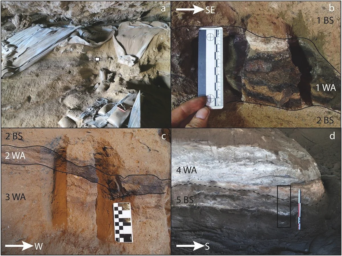 Stone Age humans built complex grass beds at Border Cave 200,000 years ago, study finds