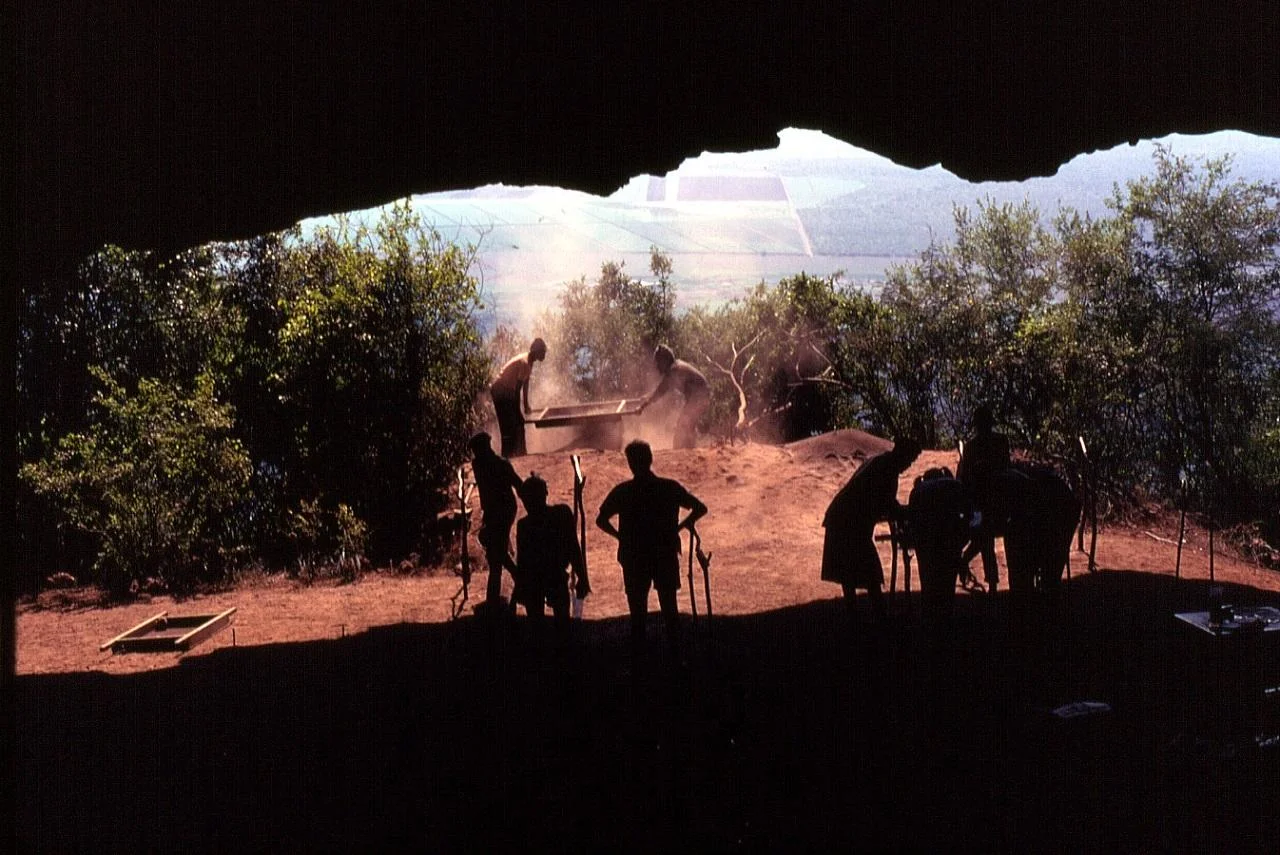 Stone Age humans built complex grass beds at Border Cave 200,000 years ago, study finds