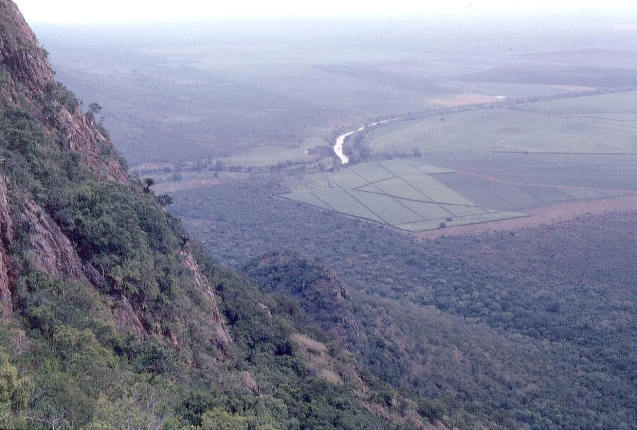 Stone Age humans built complex grass beds at Border Cave 200,000 years ago, study finds