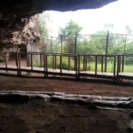 Stone Age humans built complex grass beds at Border Cave 200,000 years ago, study finds