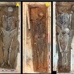 Svalbard whalers show scurvy and extreme labor stress in “corpse point” cemetery