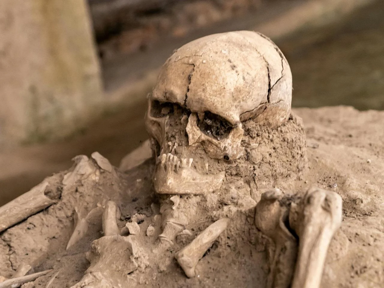 Trading human remains: Why bones should not become a commodity