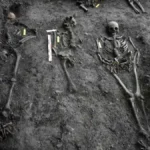 Medieval bone study identifies microbial communities driving archaeological bone degradation and preservation