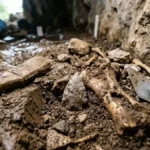 12,000-Year-Old Quartz Arrowhead Uncovers Prehistoric Violence in Vietnam
