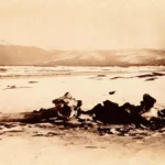 14,000-Year-Old Alaska Site Rewrites First Americans Story