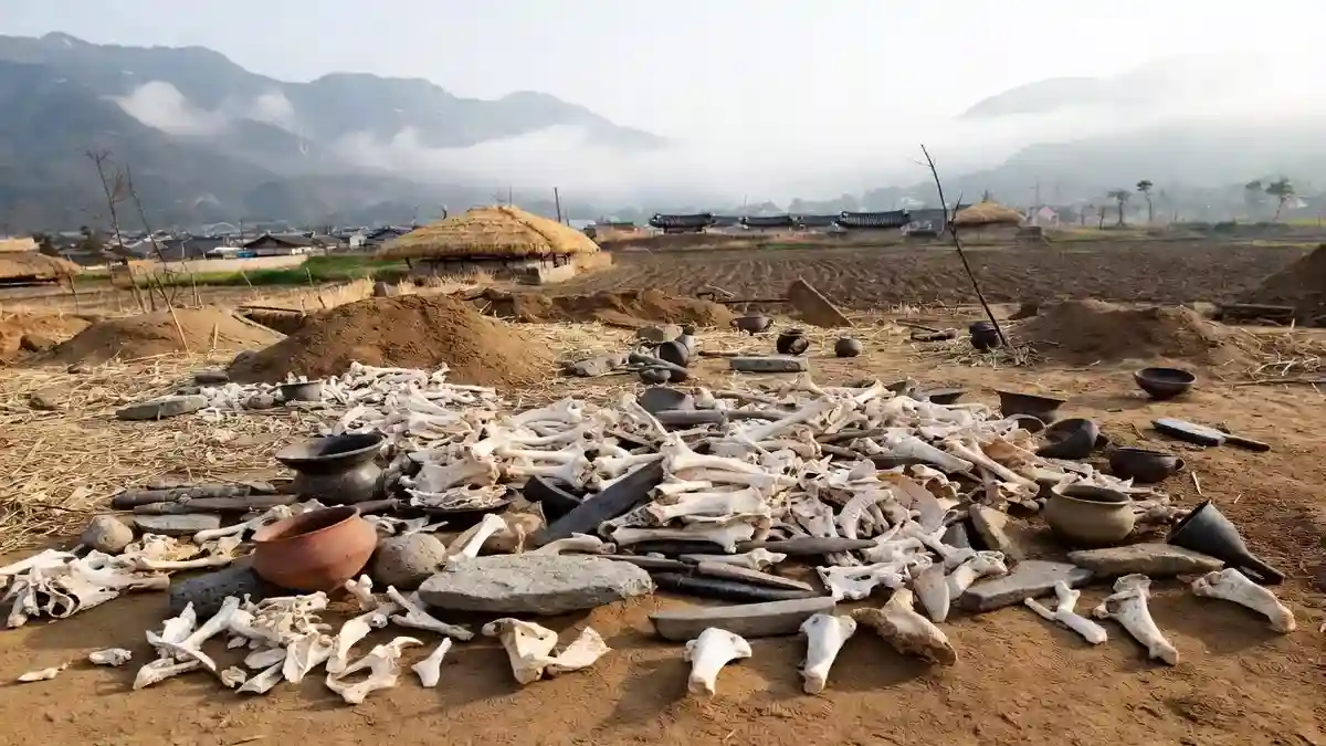 2,000-Year-Old Chicken Bones Rewrite Korea’s Farming History