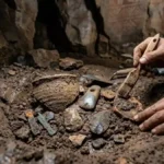 2,000-Year-Old Rock Art Discovered in Remote Thai Forest Sanctuary