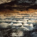 200,000-Year-Old Grass Beds Reveal Stone Age Home Life