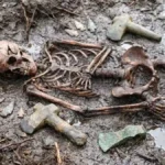3,000-Year-Old Mass Grave Confirms Bronze Age Battlefield in Lithuania