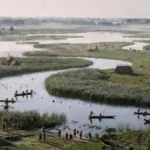 3,000 Years of Genetic Stability in Ancient Low Countries