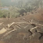 4-Million-Year-Old Baby Tapir Skeleton Rewrites European Prehistory