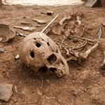 6,000-Year-Old Human Skeleton Reveals Miraculous Ancient Lion Attack Survival