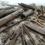 An Unprecedented Archaeological Find Reorients Our Understanding of Ancient Hunting Technology