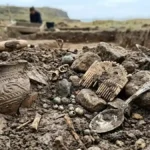Ancient DNA Overturns Traditional Beliefs About Early Medieval England