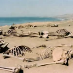 Ancient DNA Reveals 700km Migration Before Inca Empire