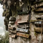 Ancient DNA Reveals True Origins of China’s Mysterious Hanging Coffins
