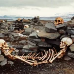 Arctic Whalers’ Graves Reveal Scurvy and Brutal Labor