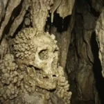 Cave Discovery Rewrites What Scientists Know About Neanderthal Noses