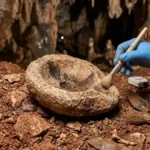 Cutting-Edge 3D Scans Digitally Open Spain’s Ancient Art Sanctuary