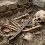 DNA Identifies Assassinated 13th-Century Duke, Solving Royal Cold Case