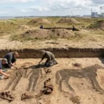 Elite Anglo-Saxon Cemetery Discovered Near Sizewell