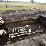 Major Ancient Discoveries Span 8,000 Years at Newark Road Site