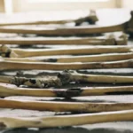 Medieval Bones Reveal Hidden Microbes Driving Decay
