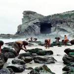Neanderthals Mastered Year-Round Shellfish Harvesting 115,000 Years Ago