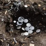 Norway Unearths Record Viking Silver Hoard