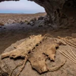 Paleolithic Tailors: 12,000-Year-Old Sewn Hide Found in Oregon Cave