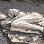 Pompeii Doctor Identified 2,000 Years After Vesuvius Eruption