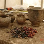 Pre-Inca Empire May Have Used Hallucinogenic Beer to Forge Unity