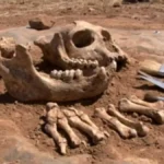 Prehistoric Skeleton Overturns Long-Held Theories of Human Evolution