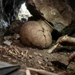 Rare 15th-Century Indigenous Ceramic Vessel Uncovered in La Palma