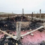 Rare Ancient Cremation Pyre Uncovered at Sizewell Site