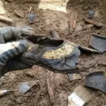 Rare Gold-Decorated Shoe Found in Medieval Czech Town