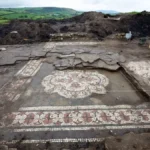 Rare Roman Villa Mosaic Discovered in Devon Countryside
