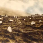 Rediscovered Infant Burial Grounds Reveal Ireland’s Emotional Past