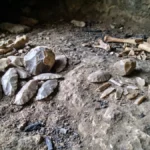 Stone Tool Analysis Shatters Long-Held Theories on Early Human Migration