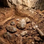 Surprise Genetic Discovery Overturns What We Know About Neanderthals