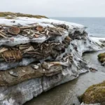 Thawing Greenland Middens Preserve 4,500-Year-Old Human Microbial DNA