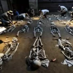 Young Workers Hit Hardest in Basel’s Last Plague Outbreak
